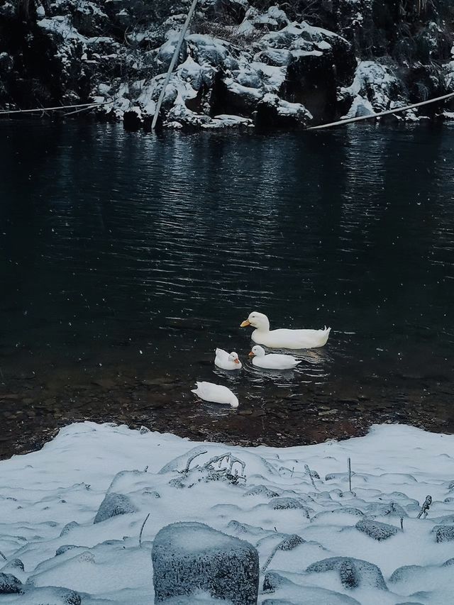 安吉最後一場大雪真想在這養老