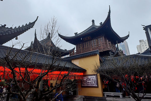 龍年正月十五 玉佛禪寺祈福 龍年正月十五 玉佛禪寺祈福