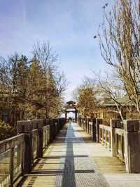 小眾溫哥華之旅，隱藏在溫帶雨林的寶藏植物園