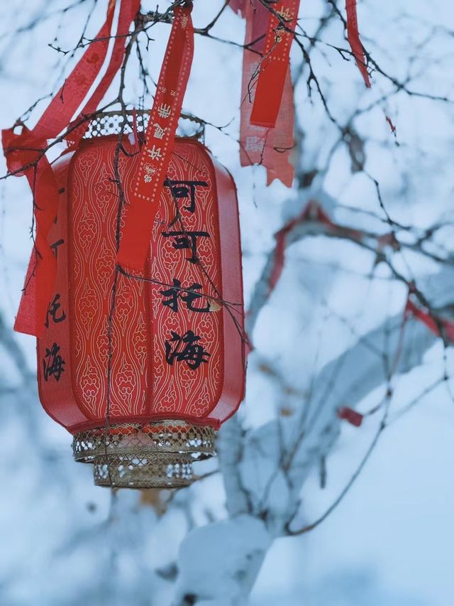 超贊體驗｜阿勒泰地區 · 新疆阿爾泰可可托海滑雪場