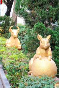 東莞小眾冷門公園|竟藏著一片秋天這麼美的小公園！