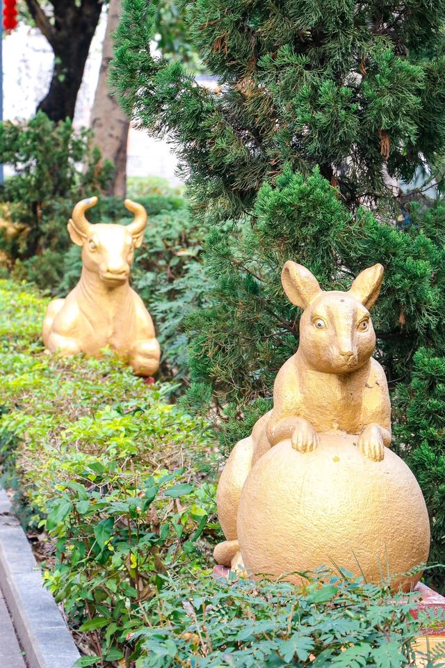 東莞小眾冷門公園|竟藏著一片秋天這麼美的小公園！