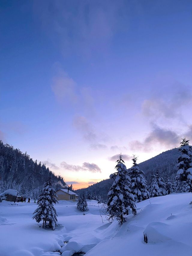 這裡不是挪威芬蘭！這裡是東北雪谷霧凇嶺！！！