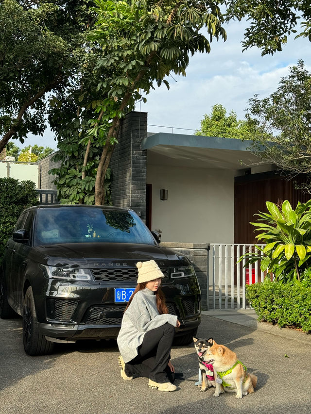 在深圳…帶狗子來個staycation吧！