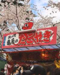 🌸 昨年の弘前公園の桜は美しかったです。