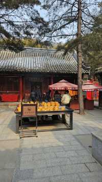 潭柘寺，你拜對了嗎？