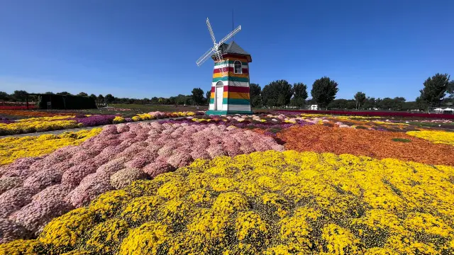 Zigu Eden Garden - Autumn flowers are even more dazzling than spring flowers