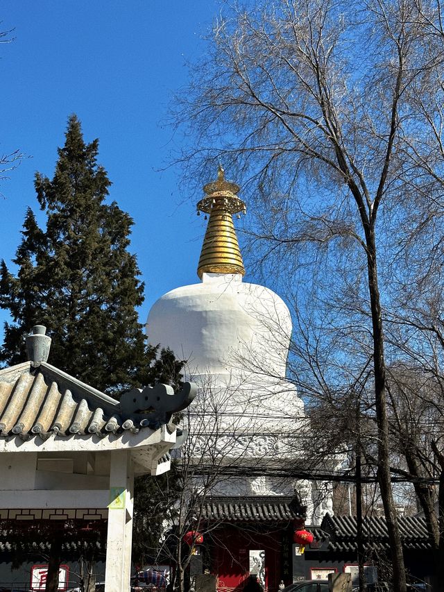 挑戰100天打卡100座寺廟——沈陽南塔（10/100）