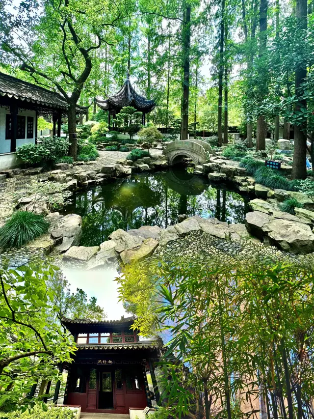 Don't go to Suzhou anymore, the magic city also has such quaint little gardens