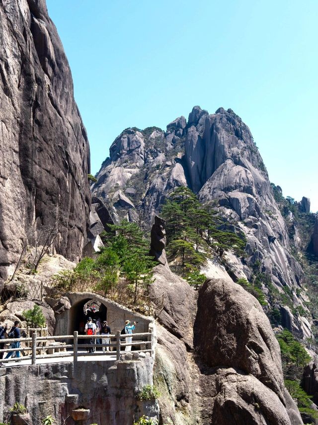 登黃山則天下無山