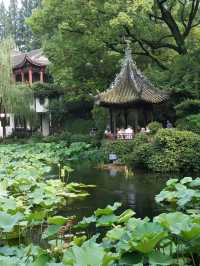 古典江南園林二百多年歷史完全免費就在魔都你去過了嗎？