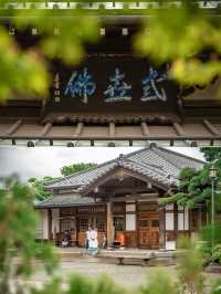 日本東京豪德寺攻略｜超可愛招財貓接好運