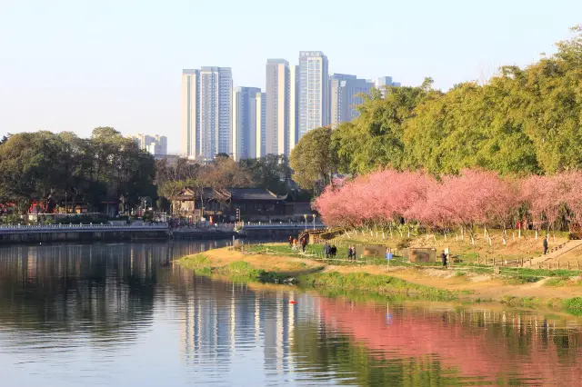 The Past and Present of Jiuyan Bridge