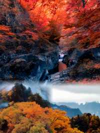 吉林最美紅葉地蛟河紅葉谷