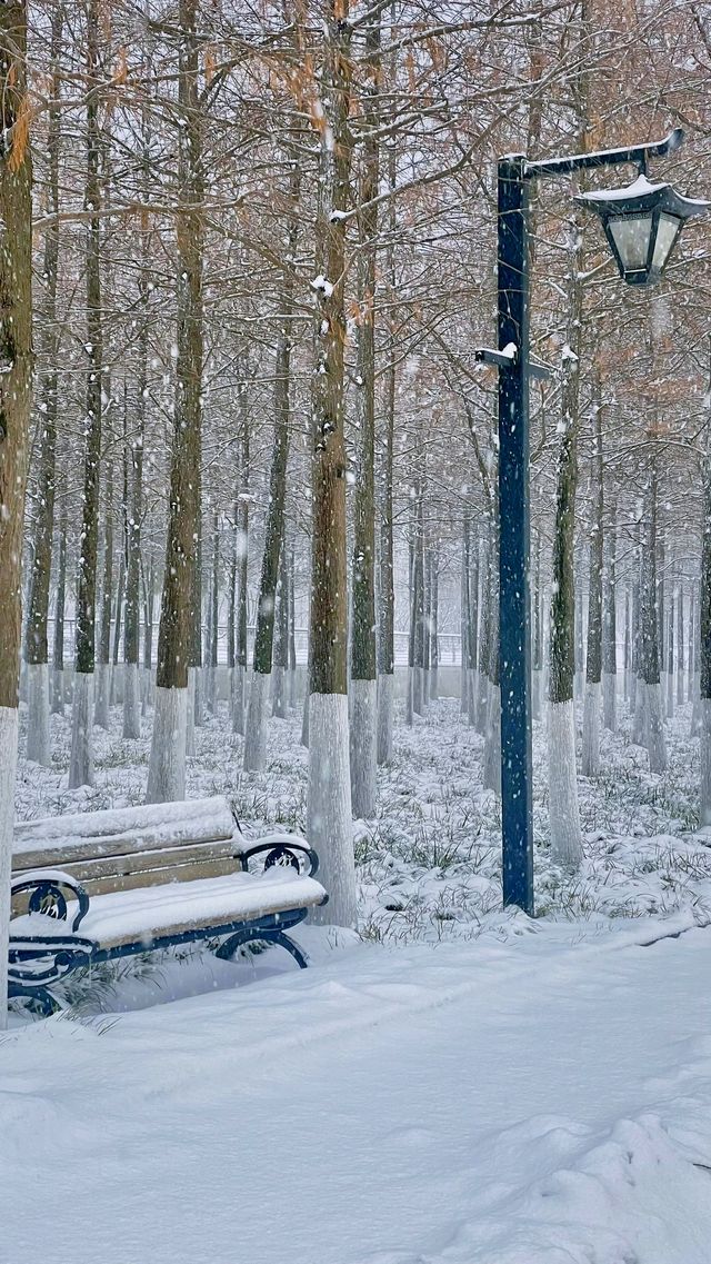 2024年武昌江灘雪景