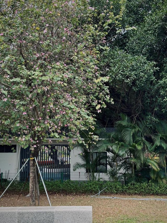 廣東天河公園