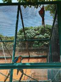 澳門公園｜誰想到免費公園裡還有博物館和動物園