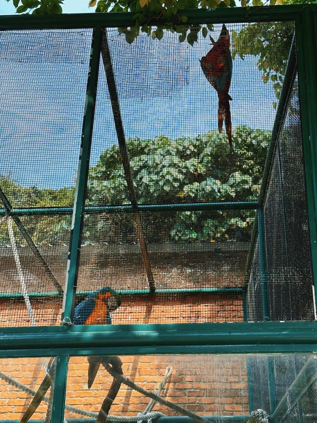 澳門公園｜誰想到免費公園裡還有博物館和動物園