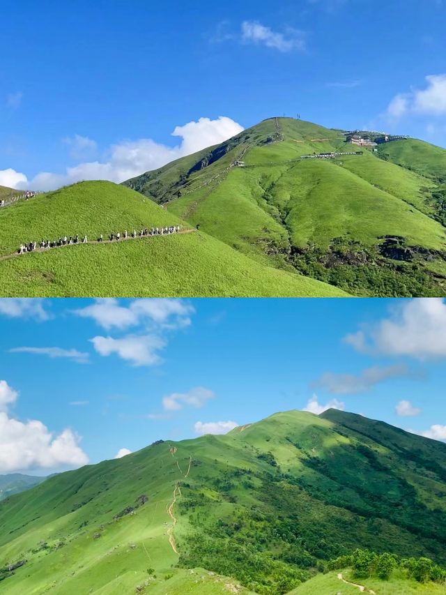 穿越山野：徒步探索雞公嶺，親近自然與城市的完美結合