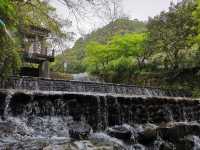 青山綠水育龍井，五雲山上尋五雲：九溪親子