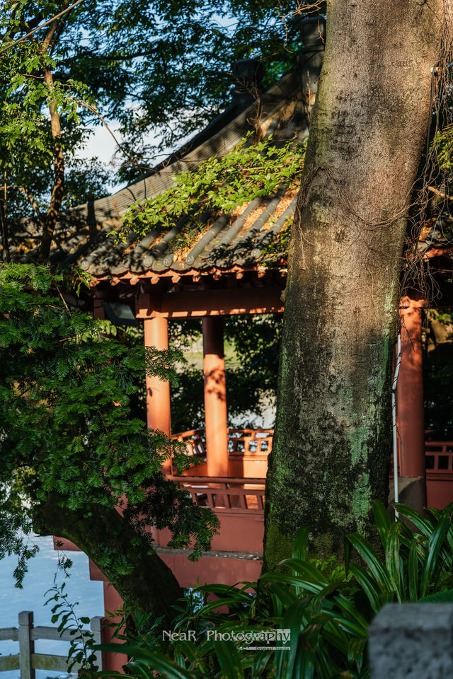 The Gentle Caress of Time | 🙇🏻Behold Guilin's Hidden Gem: The Ancient Post Bridge