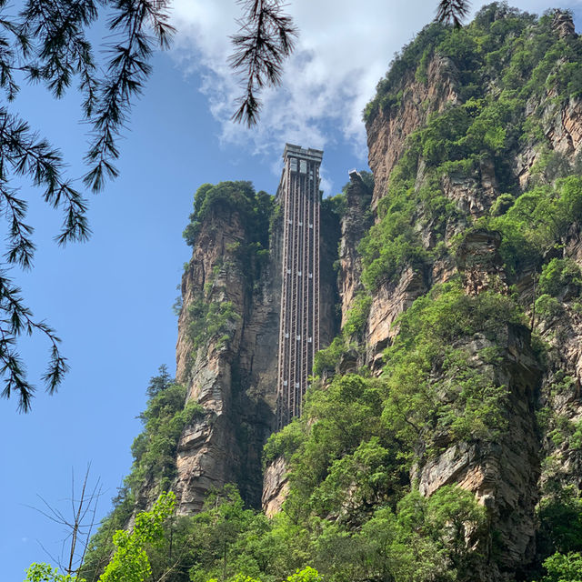 Conquering Heights with the Bailong Elevator 🌳⛰️ 