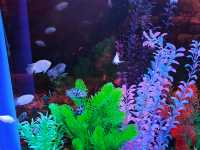 主城周末溜娃好去處｜綠色星球動物園