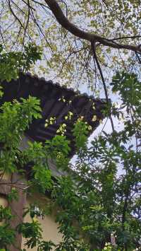 繁華都市中，人間清淨處