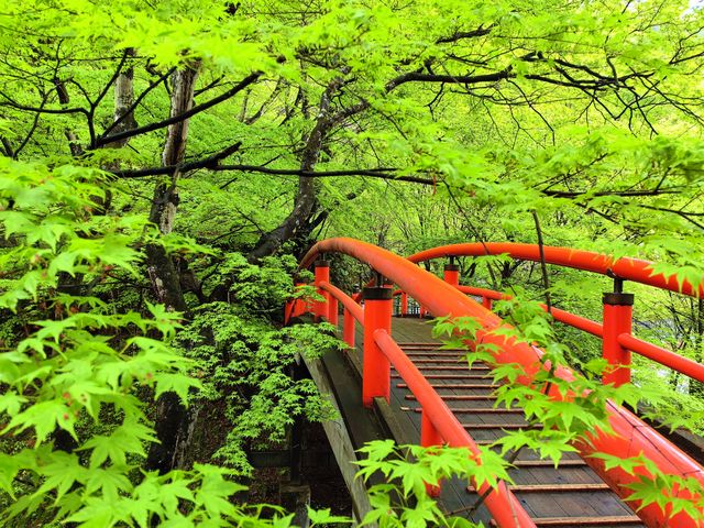 偷得浮生一日閒，伊香保溫泉山上泡頭湯，很有野趣，逛逛石段街