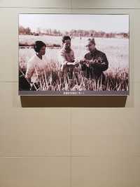 全國農業展覽館