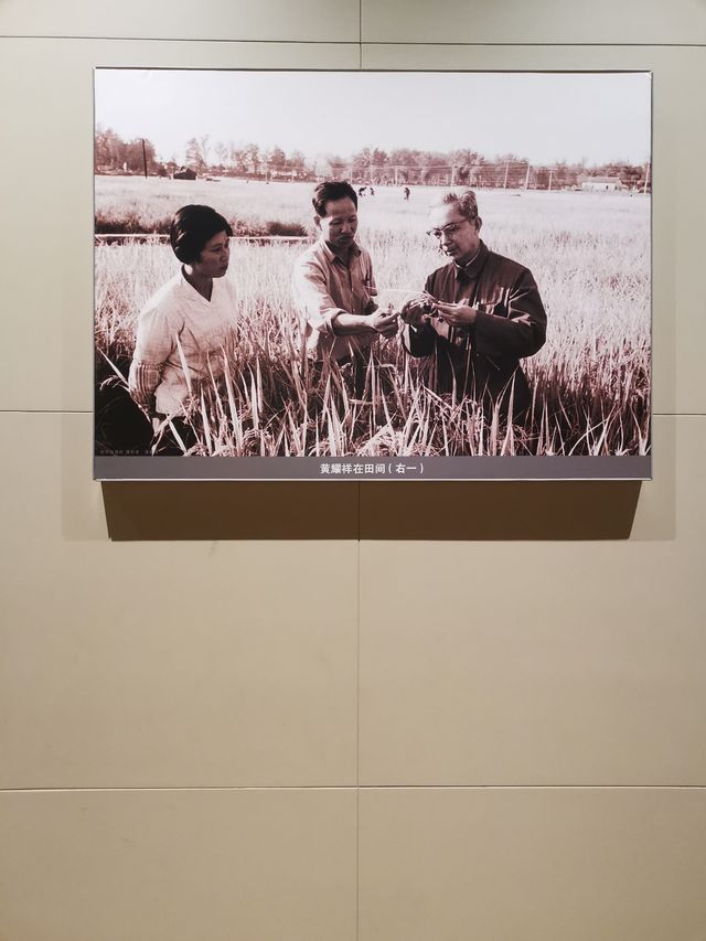 全國農業展覽館