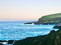 🇳🇿奧塔哥半島｜近距離接觸·企鵝海獅海豹海鳥一次get！