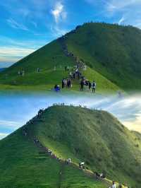 放棄武功山了，廣東這個高山草甸太絕了