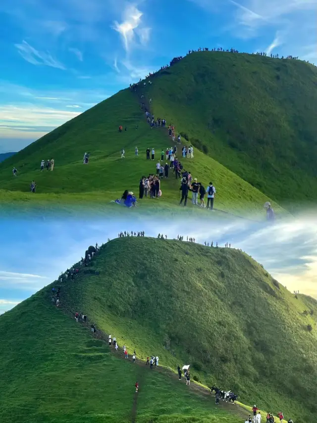 I've given up on Wugong Mountain, the alpine meadows in Guangdong are just too amazing