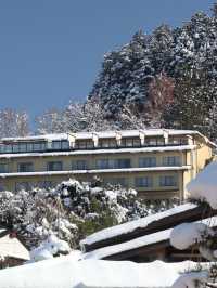 🏨✨ Discover Takayama's Gem: Hoshokaku Hotel 🍜🌸