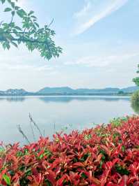 義烏瘋狗露營基地，名字奇特，風景秀麗