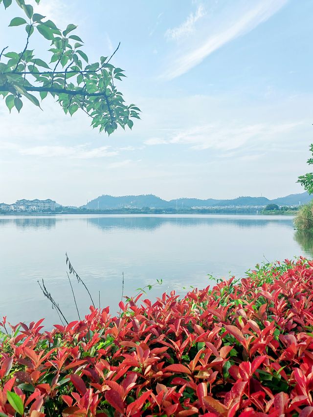 義烏瘋狗露營基地，名字奇特，風景秀麗