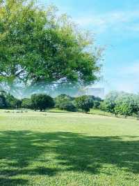 我宣布！ 大沙河生態公園是深圳公園的天花板！