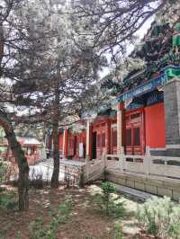 遼北佛教聖地，明月禪寺