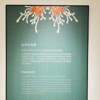 來深圳光明文化藝術中心美術館一起看展啦