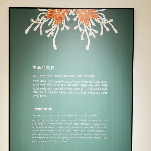 來深圳光明文化藝術中心美術館一起看展啦