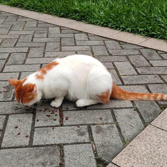 藏在廣州CBD裡的森林公園—珠江公園