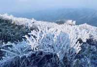 廣東也能看雪啦冰掛霧淞+雲海雪景。