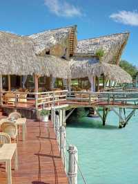 🌴✈️ Punta Cana's Paradise: Tortuga Bay Hotel Highlights 🏖️⛳