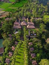 🌴✨ Blissful Bali Escapes: Maya Ubud Resort & Spa 🌺🏞️