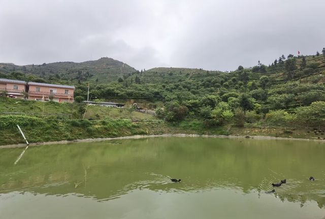 遠方不遠只要心之所向第四十六篇～～梅州三溪恩仔岽