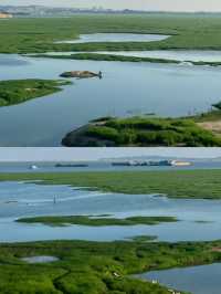 江西鄱陽湖1中國最大淡水湖1自駕遊攻略