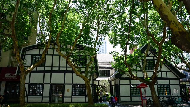 很難對這個季節的新华路說愛你 很難對這個季節的新华路說愛你