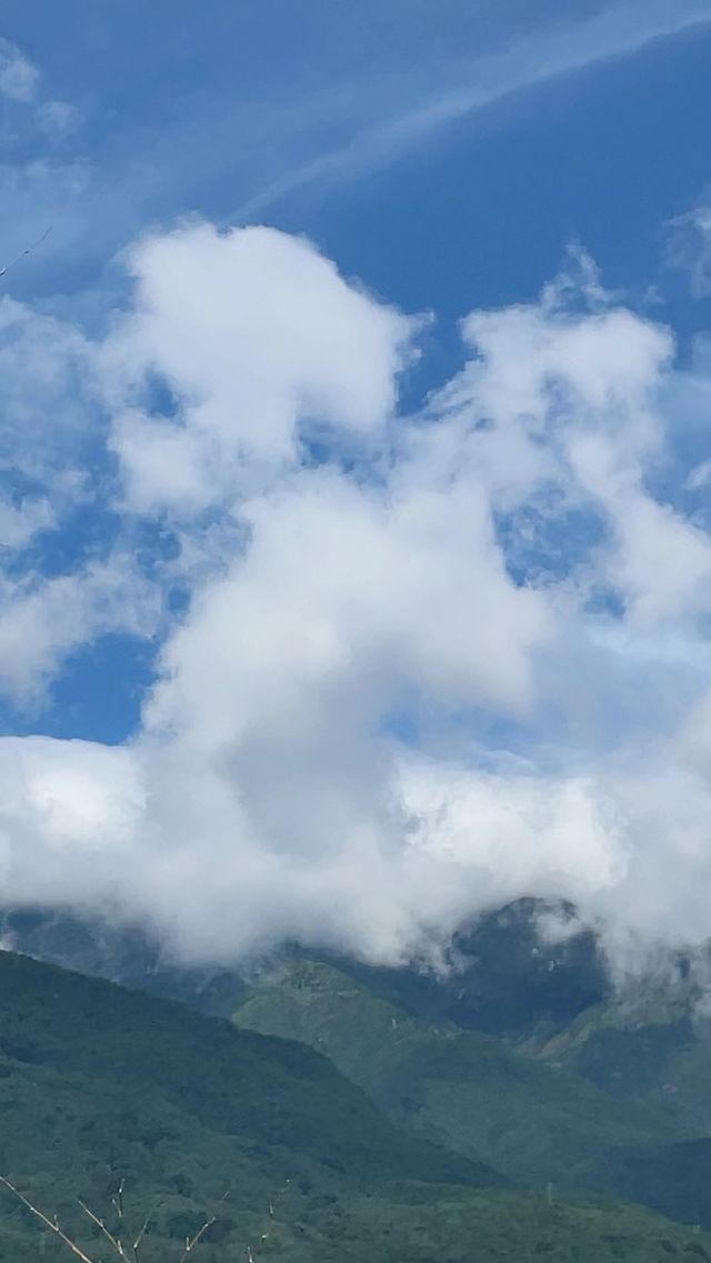 又見蒼山