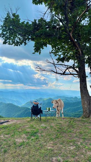 Free scenic spot in Henan 'Altay', here comes the nanny-level guide! Navigate to Sanmenxia Guanyun Mountain
